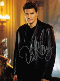 David Boreanaz